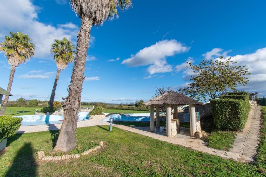 Domaine Mas Begon Villa Aigues-Vives  Ngoại thất bức ảnh